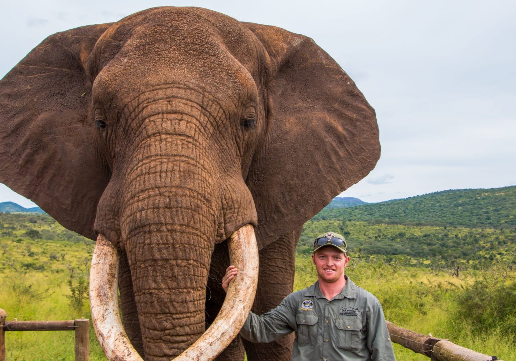 elephant interaction