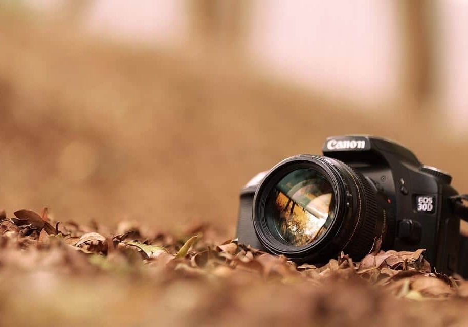 safari self drive photographic tips