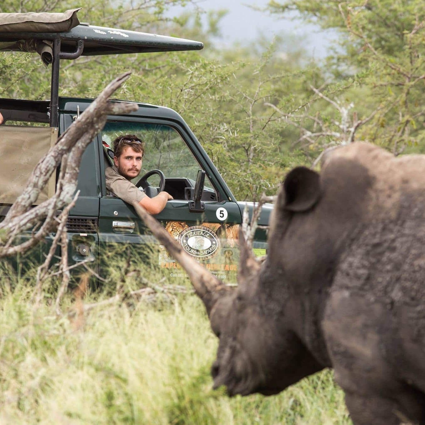 umfolozi big 5 game reserve & safaris