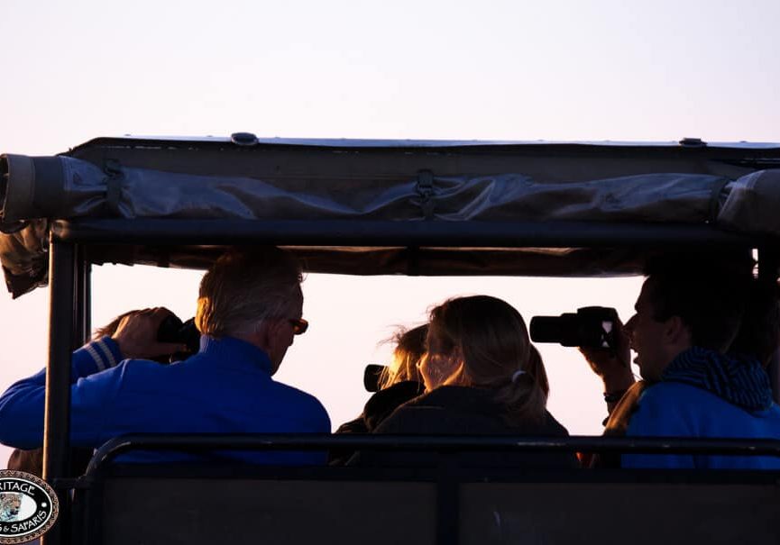 clients on safari