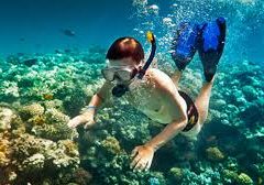 snorkeling cape vidal half day